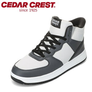 Z_[NXg CEDAR CREST CC-5003 YC C V[Y 2E Xj[J[ h XpbgV[Y g킸ɗ TCh SA S nCJbg ~bhJbg Xj[J[ Vv O[