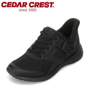�Z�_�[�N���X�g CEDAR CREST CC-3128 �L�b�Y�C �q���C �C �V���[�Y 2E���� �X�j�[�J�[ �L�b�Y �^���C �ʊw �ʉ� �̈� �X�p�b�g�V���[�Y ����g�킸�ɗ����� �j�̎q �L�k�� ���[�J�b�g�X�j�[�J�[ �n