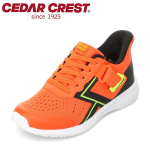 �Z�_�[�N���X�g CEDAR CREST CC-3128W �L�b�Y�C �C �V���[�Y 2E �L�b�Y �X�j�[�J�[ �����j���O�V���[�Y �^���C �ʊw �ʉ� �̈� �q���C �X�p�b�g�V���[�Y ����g�킸�ɗ����� ���[�J�b�g�X�j�[�J�[ 