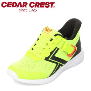 �Z�_�[�N���X�g CEDAR CREST CC-3128W �L�b�Y�C �C �V���[�Y 2E �L�b�Y �X�j�[�J�[ �����j���O�V���[�Y �^���C �ʊw �ʉ� �̈� �q���C �X�p�b�g�V���[�Y ����g�킸�ɗ����� ���[�J�b�g�X�j�[�J�[ 