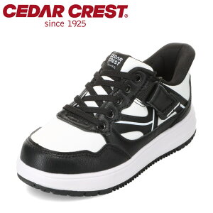 �Z�_�[�N���X�g CEDAR CREST CC-3139 �L�b�Y�C �C �V���[�Y 2E �L�b�Y �X�j�[�J�[ �����j���O�V���[�Y �^���C �q���C �X�p�b�g�V���[�Y ����g�킸�ɗ����� ���[�J�b�g�X�j�[�J�[ �ʊw �ʉ� �̈� 