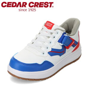 �Z�_�[�N���X�g CEDAR CREST CC-3139 �L�b�Y�C �C �V���[�Y 2E �L�b�Y �X�j�[�J�[ �����j���O�V���[�Y �^���C �q���C �X�p�b�g�V���[�Y ����g�킸�ɗ����� ���[�J�b�g�X�j�[�J�[ �ʊw �ʉ� �̈� 