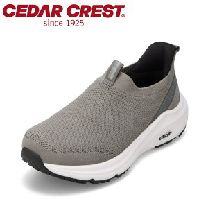 �Z�_�[�N���X�g CEDAR CREST CC-9860M �����Y�C �C �V���[�Y 2E �X�j�[�J�[ �X���b�|�� �h�� �V���[�Y �X�p�b�g�V���[�Y ����g�킸�ɗ����� ����ɂ��� �h�� �R�� �h�L ���ˍ� ���t���N�^�[ ���[�J