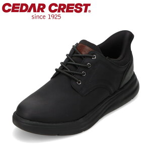 �Z�_�[�N���X�g �E�H�b�V���u�� CEDAR CREST CC-71250 �����Y�C �C �V���[�Y 4E �X�j�[�J�[ �h�� �V���[�Y �X�p�b�g�V���[�Y ����g�킸�ɗ����� ���L 4E ������� ���[�J�b�g�X�j�[�J�[ �l�C �u��