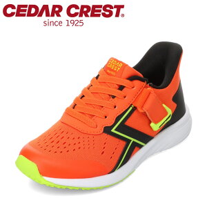 �Z�_�[�N���X�g CEDAR CREST CC-3128 �L�b�Y�C �C �V���[�Y 2E �X�j�[�J�[ �L�b�Y �^���C �ʊw �ʉ� �̈� �q���C �j�̎q �X�p�b�g�V���[�Y ����g�킸�ɗ����� �n���Y�t���[ ���[�J�b�g�X�j�[�J�[ 