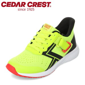 �Z�_�[�N���X�g CEDAR CREST CC-3128 �L�b�Y�C �C �V���[�Y 2E �X�j�[�J�[ �L�b�Y �^���C �ʊw �ʉ� �̈� �q���C �j�̎q �X�p�b�g�V���[�Y ����g�킸�ɗ����� ���[�J�b�g�X�j�[�J�[ �l�C �u�����h 