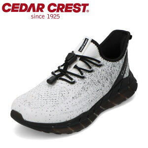 �y����4H���聚�S�iP10�{�z�Z�_�[�N���X�g CEDAR CREST CC-9851 �����Y�C �C �V���[�Y 2E �X�j�[�J�[ �h�� �V���[�Y �N�b�V������ ���� Sunset frog 3 ����ɂ��� �h�� �ϊ� ���[�J�b�g�X�j�[�J�[ ������