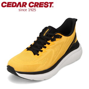 �Z�_�[�N���X�g CEDAR CREST CC-9902M �����Y�C �C �V���[�Y 3E �X�j�[�J�[ ���� �N�b�V������ �Ռ��z�� �j�b�g Cirrus2 M �L�k�� �_�炩�� ������ ������ �e�͐� ���[�J�b�g�X�j�[�J�[ ���ˍ� ���t��