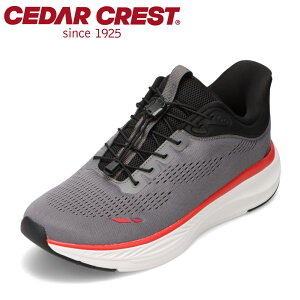 �Z�_�[�N���X�g CEDAR CREST CC-5008M �����Y�C �C �V���[�Y 2E �X�j�[�J�[ �X�p�b�g�V���[�Y ����g�킸�ɗ����� �n���Y�t���[ ���[�J�b�g�X�j�[�J�[ �l�C �u�����h �_�[�N�O���[ TSRC