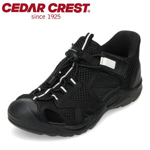 �Z�_�[�N���X�g CEDAR CREST CC-3142 �L�b�Y�C �V���[�Y 2E �L�b�Y �T���_�� �X�j�[�J�[ �X�|�[�c �A�E�g�h�A �V���[�Y �^���C �ʊw �ʉ� �q���C �X�p�b�g�V���[�Y ����g�킸�ɗ����� �n���Y�t��
