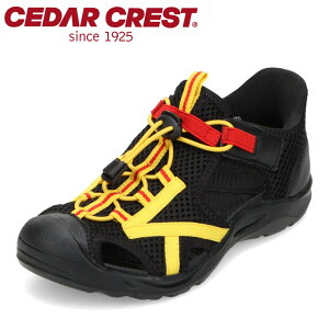 �Z�_�[�N���X�g CEDAR CREST CC-3142 �L�b�Y�C �V���[�Y 2E �L�b�Y �T���_�� �X�j�[�J�[ �X�|�[�c �A�E�g�h�A �V���[�Y �^���C �ʊw �ʉ� �q���C �X�p�b�g�V���[�Y ����g�킸�ɗ����� �n���Y�t��