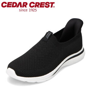 �Z�_�[�N���X�g CEDAR CREST CC-3141 �L�b�Y�C �C �V���[�Y 2E �L�b�Y �X�j�[�J�[ �^���C �ʊw �ʉ� �̈� �X���b�|�� �q���C �X�p�b�g�V���[�Y ����g�킸�ɗ����� �N�b�V������ �V���v�� ���[�J�b