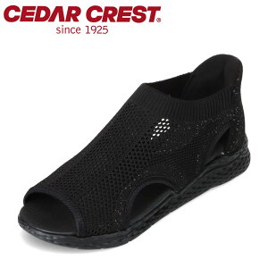 �Z�_�[�N���X�g CEDAR CREST CC-2524 ���f�B�[�X�C �C �V���[�Y 2E �T���_�� �X�p�b�g�V���[�Y ����g�킸�ɗ����� �n���Y�t���[ �N�b�V������ �ʋC�� �j�b�g �z�[���h �t�B�b�g �l�C �u�����h �u