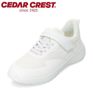 �Z�_�[�N���X�g CEDAR CREST CC-3134 �L�b�Y�C �C �V���[�Y 3E �����h�����[�e�B���e�B�X�j�[�J�[ �h�� �J �~�J �h�� ����ɂ��� �ʋC�� �S���R �x���g ���E�ȒP �ʊw �ʉ� �^�� ���L 3E �q���C ����