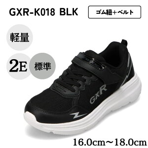 W[GbNXA[ GXR GXR-K018 LbYC C V[Y 2E Xj[J[ ^C ʉ ʊw y ʃt@Xi[ EȒP [JbgXj[J[ j̎q  ubN TSRC