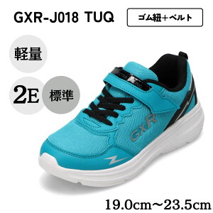 W[GbNXA[ GXR GXR-J018 LbYC C V[Y 2E Xj[J[ ^C ʉ ʊw y  [JbgXj[J[ ʃt@Xi[ EȒP j̎q  ^[RCY TSRC