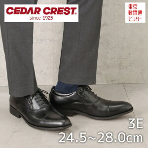 Z_[NXg rWlXV[Y Y vC ubN  L Ch 傫TCY y y A ʋ N[g d rWlX ItBX    tH[} CEDAR CREST CC-1