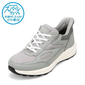 Z_[NXg CEDAR CREST CC-60770 YC C V[Y 2E XpbgV[Y g킸ɗ Xj[J[ ʋC bV NbV [JbgXj[J[ nYt[ ܂ܗ