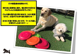 【軽くて丈夫！】フリスビー 2点セット S&L | EVA樹脂 高弾力 柔軟 軽量 高耐久 | ペット用 噛む おもちゃ 庭遊び プール 運動不足解消 ストレス解消 フリスビー 犬おもちゃ 犬用玩具 噛むおもちゃ 清潔 歯磨き 小型犬 中型犬 大型犬【T.S.H】