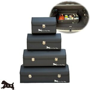 T.S.H gN[{bNX@ԁ@[@e ܂肽݉\ Wt gN QbW[ [ ԗp [P[X