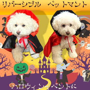 yT.S.H ybgpo[Vu}gzhL@zS@nEB@p[eB[@^@^@L@ybg }g 蕨 ybgp RX`[ NX}X ybg  