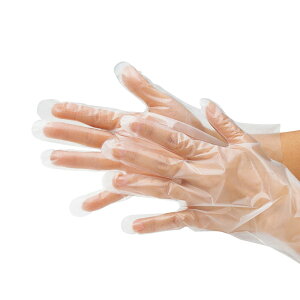  n KAZEN J[ fBX|[Uu܁i100/1Zbgj 495 FOOD Factory t[ht@Ng[ FOOD t[h jp jZbNX j Y  fB[X |G` T|[g T