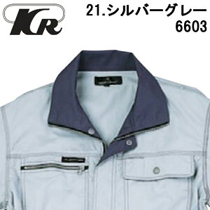 Ȃ KURE NqtN 6603 rX t@Xi[  ciM  oCN [^[X|[c  _ t  ebV Vo[ ubN O[ u[ IW lCr[ bh [N 