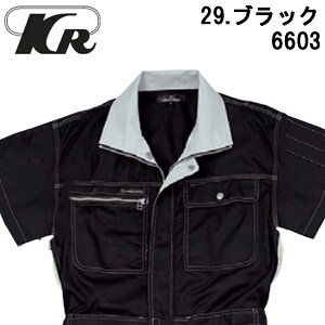 Ȃ KURE NqtN 6603 rX t@Xi[  ciM  oCN [^[X|[c  _ t  ebV Vo[ ubN O[ u[ IW lCr[ bh [N 