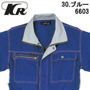 Ȃ KURE NqtN 6603 rX t@Xi[  ciM  oCN [^[X|[c  _ t  ebV Vo[ ubN O[ u[ IW lCr[ bh [N 