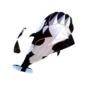 3D  ^CJ CJ tC   X|[c r[` Ƒp