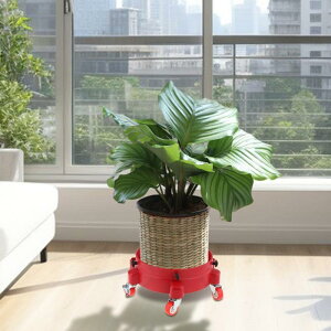 ԗpoPc [OoPc |[^u ی^ N[i[p  zƈp