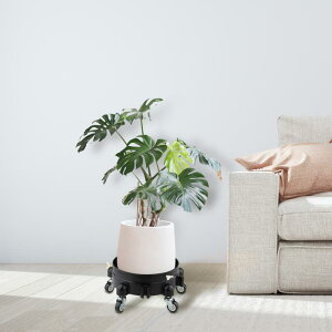 [OoPc ԗpoPcړu 360°]LX^[t [OX^h ԗpK[WK[f