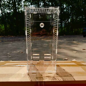 ANJ}LpeEa{bNX vtFbViJ}LP[W P[W