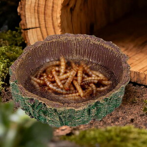 ^঒ޗp̋a{E.^p.g₷.