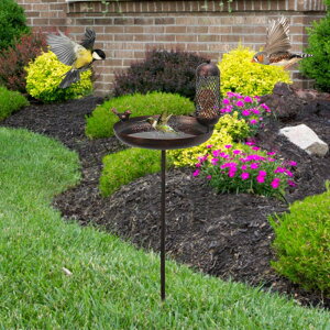 12.2�C���` �o�[�h�o�X(�����Y�t��)SPA�I�[�i�����g ���O��Ő��p�o�[�h�o�X