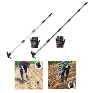 Gc[ c[ ʎ菜[LƃANVz[ peBI    _Ɨp