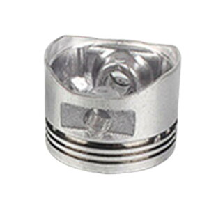 V_[ sXg Lbg `F[\[pA^b`g O Lbg ANZT XyAp[c