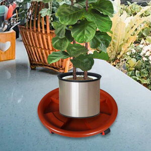 ~`A[OvgX^h LX^[t pbgg[ ƒ؉p 46cm