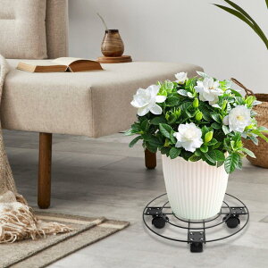 ԗ֕tvgX^h vg\[T[ [OvgX^h vggC[[ 4̃LX^[t Spbgg[ ItBXVbvp