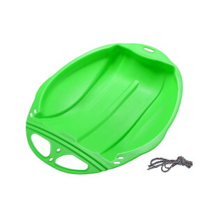 Xm[̐̊ȃXm[{[hg{K~̂傫ȑ