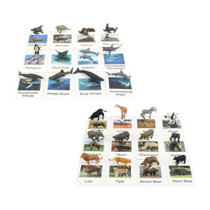 e[}ɂp[eB[aMtgp̃tbVJ[ht12̃~jtBMA