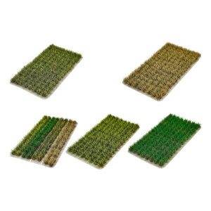 n`͌^Lbg n̒،Q S͌^ i h[nEXp