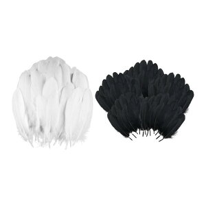 100 NtgtFU[ tFCNtFU[ EFfBOAWg RXv zf[