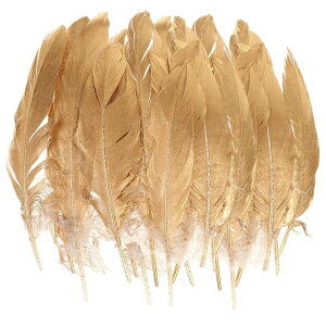 2s[XO[XtFU[{g\[COg~ORX`[XqNtg15-20cm