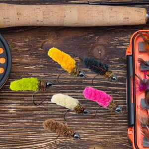 6 Zbg tCtBbVOA[ jt AȃEFbgoXA[ AEghA [{bNXt Nbs[ TtBbV Cނpa