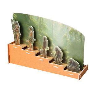 lԂ̗jpY j̎q ̎q q av[g ߋ