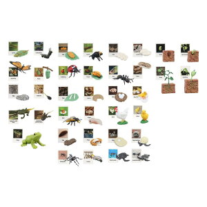 eb\[.CtTCN.琶wȊw.̐TCNtBMA.qp.j̎q.̎q̃fXNgbv.