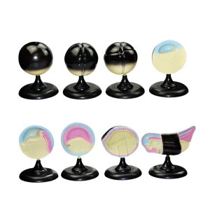 JG̃Aȋp wKANeBreB qƃeB[̏