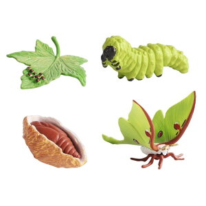 V~[V CtTCN tBMA wK mߋ Ȋwߋ vCZbg ̃CtTCNf q ̎q AwO q j̎q