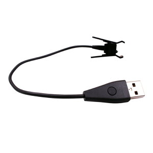 BlazeSmartbandp̐VUSB[dC[P[uN[hhbN[d